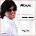 Forr da Pegao 